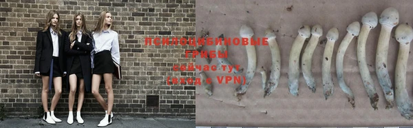 не бодяженный Покровск