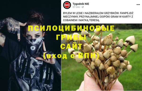 альфа пвп Пересвет