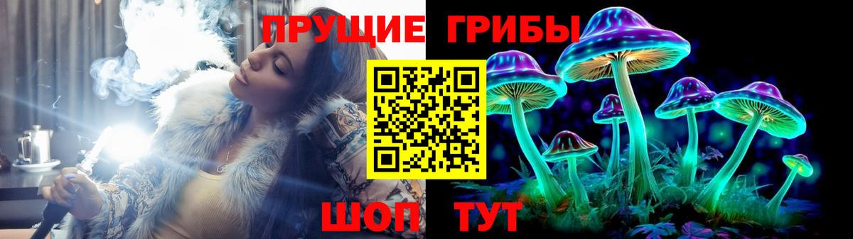 Чебаркуль  Галлюциногенные грибы MAGIC MUSHROOMS  продажа наркотиков  Псилоцибиновые грибы мухоморы  Вход с VPN 
